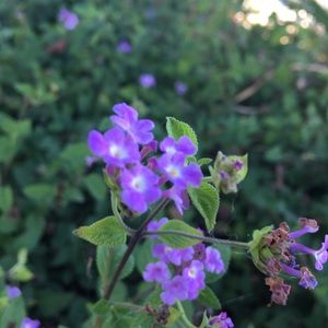 Meet your Posher, Jadyn